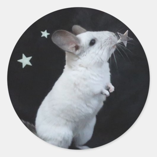 Chinchilla Star Runder Aufkleber (Vorderseite)