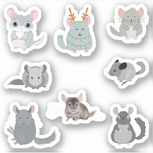 Chinchilla Stickers Aufkleber (Vorderseite)