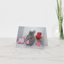 Chinchilla valentine