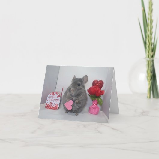 Chinchilla valentine feiertagskarte (Vorderseite)