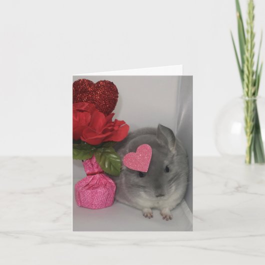 Chinchilla Valentine's Day Card Karte (Vorderseite)