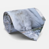 Chinchillaperser Krawatte (Gerollt)