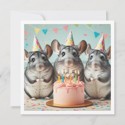 Chinchillas essen Kuchen Geburtstagseinladung Einladung (Vorderseite)