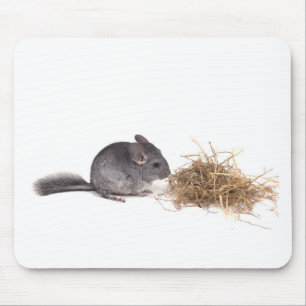 Chinchillas Mousepad