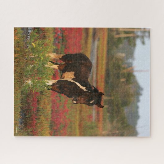 Chincoteague Foal Stehend in roten Blume Puzzle (Horizontal)