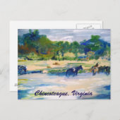Chincoteague Island Horse Malerei Postkarte (Vorne/Hinten)