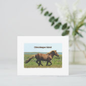 Chincoteague Island (Logo für Hengstschlag) Postkarte (Stehend Vorderseite)