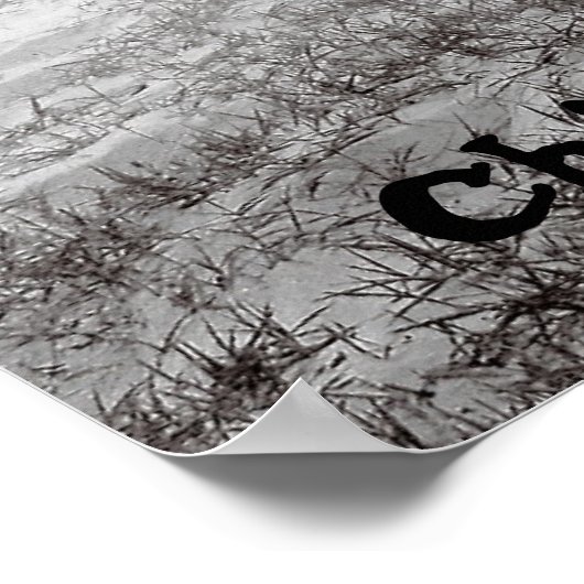 Chincoteague Island Pony Poster (Ecke)