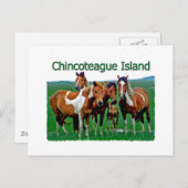 Chincoteague Island (Ponys) Postkarte (Vorne/Hinten)