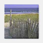 Chincoteague National Wildlife Refugium Magnet (Vorne)