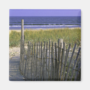 Chincoteague National Wildlife Refugium Magnet