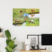 Chincoteague Ponies Collage Poster (Heimbüro)