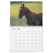 Chincoteague Ponies Wild and Free 2026 Calendar Kalender (Mär 2026)