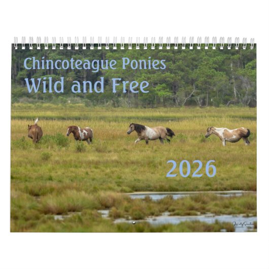 Chincoteague Ponies Wild and Free 2026 Calendar Kalender (Titelbild)