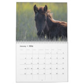 Chincoteague Ponies Wild and Free 2026 Calendar Kalender (Jan 2026)