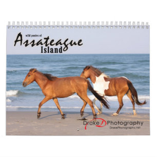 Chincoteague Pony Calendar Kalender