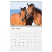 Chincoteague Pony Calendar Kalender (Mär 2027)