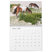 Chincoteague Pony Calendar Kalender (Jan 2027)