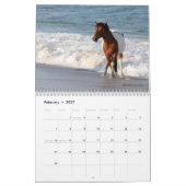 Chincoteague Pony Calendar Kalender (Feb 2027)