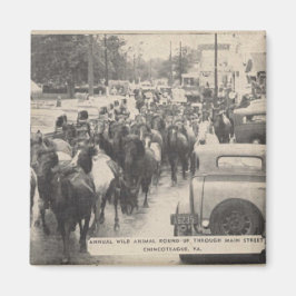 Chincoteague Pony Vintag 1941 Postcard Magnet