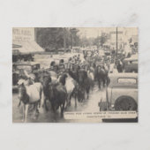 Chincoteague Pony Vintag 1941 Postcard Postkarte (Vorderseite)