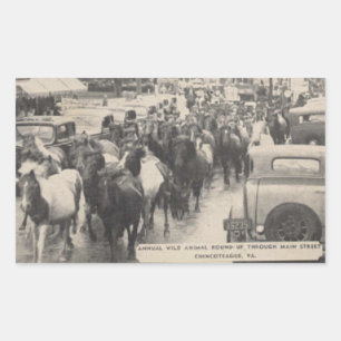 Chincoteague Pony Vintag 1941 Postcard Rechteckiger Aufkleber