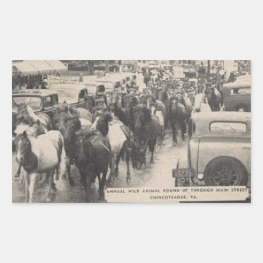 Chincoteague Pony Vintag 1941 Postcard Rechteckiger Aufkleber (Vorderseite)