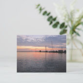 Chincoteague, Virginia Postkarte (Stehend Vorderseite)