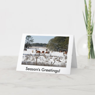 Chincoteague Wild Pony Christmas Cards Feiertagskarte