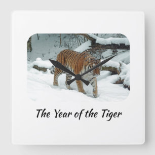 Chinese Astrology Year of the Tiger Quadratische Wanduhr