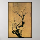 Chinese Cherry Blossoms Poster (Vorne)