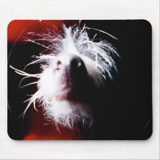 Chinese Crested Fisheye Mousepad