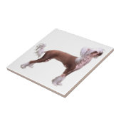 Chinese Crested Fliese (Seite)