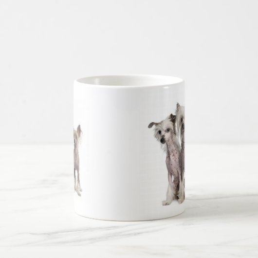 Chinese Crested Kaffeetasse (Mittel)