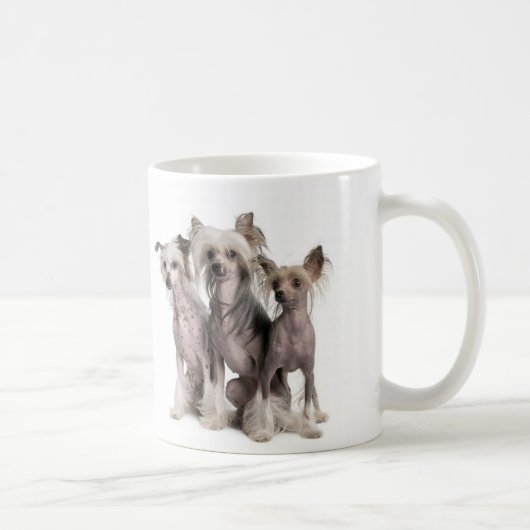 Chinese Crested Kaffeetasse (Rechts)