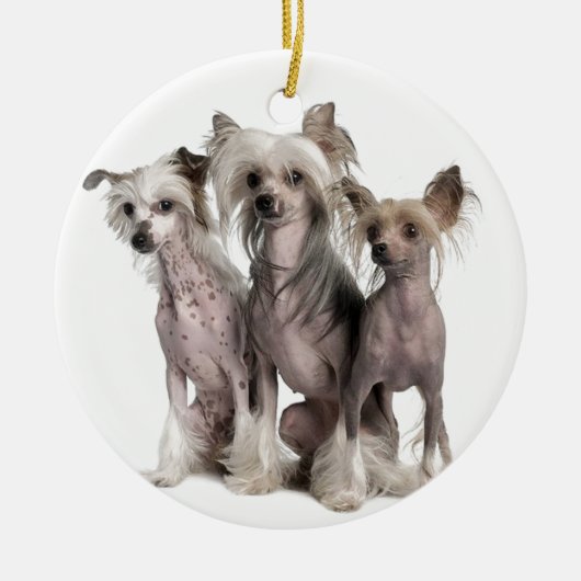 Chinese Crested Keramik Ornament (Vorne)