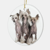 Chinese Crested Keramik Ornament (Links)
