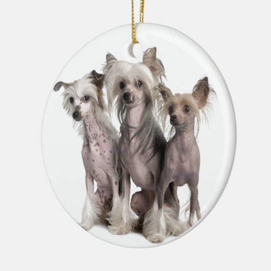 Chinese Crested Keramik Ornament (Links)