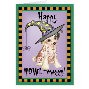 Chinese Crested Witch