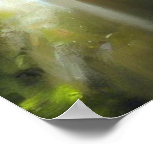 Chinese Foo Lion (19) Poster (Ecke)