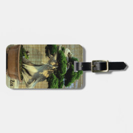 Chinese Juniper Bonsai Tree Foto Name Gepäckanhänger