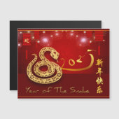 Chinese Lanterns Fireworks Snake Jahr 2025 MC Magnetkarte (Vorne/Hinten)