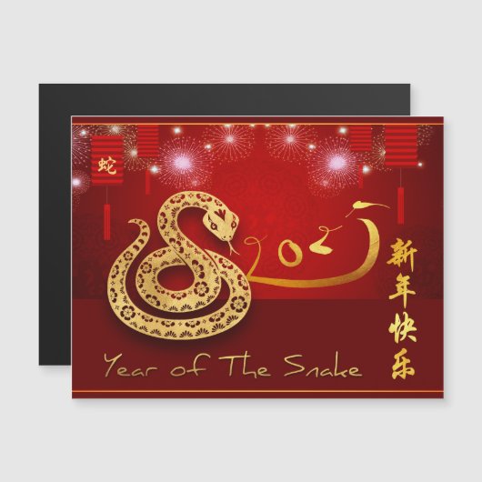 Chinese Lanterns Fireworks Snake Jahr 2025 MC Magnetkarte (Vorne/Hinten)