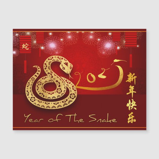 Chinese Lanterns Fireworks Snake Jahr 2025 MC Magnetkarte (Vorderseite)