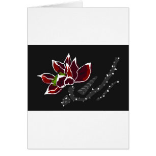 Chinese-Lotus-Farben