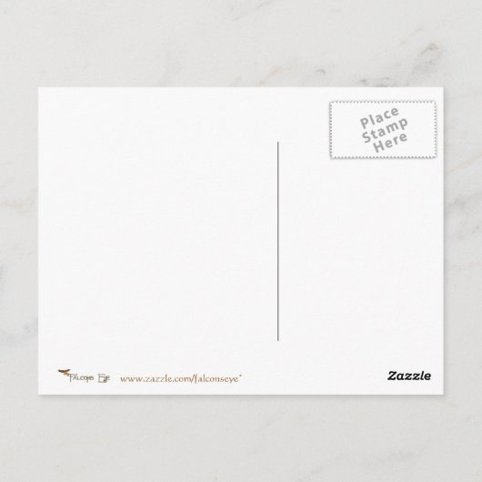 Chinese Parfüm Vendor von George Barbier Postkarte (Rückseite)