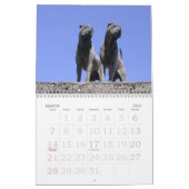 Chinese Shar Pei 15-monatig Kalender (Mär 2027)