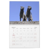 Chinese Shar Pei 15-monatig Kalender (Mär 2026)
