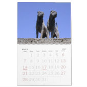 Chinese Shar Pei 15-monatiger Kalender (Mär 2027)