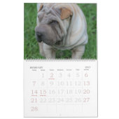 Chinese Shar Pei 15-monatiger Kalender (Feb 2027)